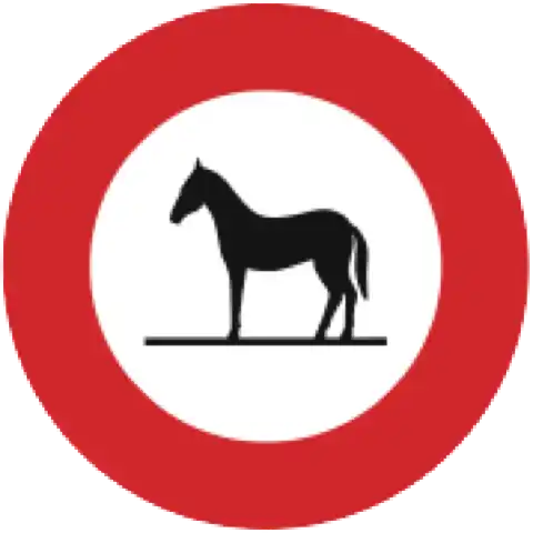 divieto-di-circolazione-per-gli-animali-(art.-19)